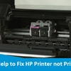 Why is my HP Printer not Printing? How Can It Be Fixed?