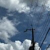台風は明日にならないと分からない