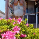街の中の癒しのふるさと　デイサービス松の家深谷