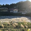 秋出水秘湯の里の窓辺まで（あ）