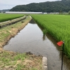 宇土市 震災被害の聞き取り