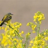 7月の始まりに長男を思う