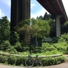 不動峠３本