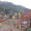 秋川渓谷「阿伎留～城山～石舟橋」紅葉狩り（６・最終）石舟橋の紅葉。