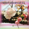 フォトあそび心５７５『　ねがわくば花を命の友とせん　』ｘｘｗ２６０２