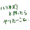 中村倫也company〜「オリジナル、ちゃんとありました♡」