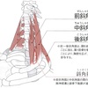 「私のこの臀部・下肢のシビレはなぜ?」(その5)