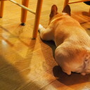 アニメ楽しい！を口にする