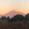 今朝の景色
