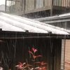 ゲリラ豪雨　雷雨