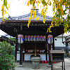 昆陽山 地蔵院(椿寺)