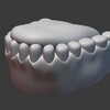 Blender 407日目。「身体のモデリング」その59 ～歯茎①～。