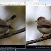 Windows11で、ウインドウを2つ横に並べる。＋ 別々のフォルダーの写真/画像を横に2つ並べて表示比較（MyHome Portal使用）。