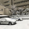 東京で大雪