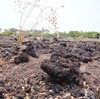 ハワイ島速報！キラウエア火山以外にも見所いっぱい。さすがはビッグアイランド。