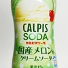 サプライズの絶妙な組み合わせ！「カルピスソーダ国産メロンのクリームソーダ」実飲レビュー