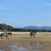 マテ貝取りに香川へ