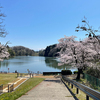 本日の風景から！その2
