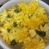 食用菊（中菊）のお浸し