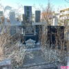 お墓の草取り掃除が出来ない（桜木市営霊園）