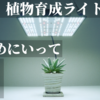 【神ライト】植物育成ライト「BRIM(ブリム) PANEL X」レビュー！Samsung「LM281B+PRO」「LM301H」搭載のコスパ最強パネルLED！そして「PANEL Y」も！観葉植物｜アガベ｜塊根植物｜多肉植物