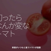 2107食目「切ったらなんか変なトマト」断面がいつもと違うトマトが話題