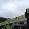 やっぱり動物園が好き！(≧▽≦)