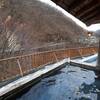 【老神温泉】日帰り入浴できるホテル＆旅館まとめ７選！（泉質ランキング）