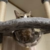 我が子の人生を応援・・・