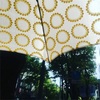 爽やかな夏を過ごすための、イイダ傘店の日傘。