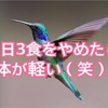 1日3食に縛られない！1日1.5~2食で体が軽い♪