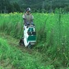 背丈を超えた雑草を一気に草刈り🌿🚜