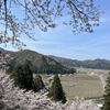 北陸の風景　桜