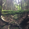 繰り返す肌荒れの原因は肌に無い。