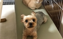 記事を見る