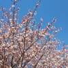 みなとみらいスマートフェスティバル２０２２ 花火大会 開催日は？ 花火打ち上げ時間は？