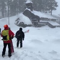 海外ニュースサイト