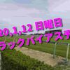 2020,1,12 日曜日 トラックバイアス予想 (中山競馬場、京都競馬場)