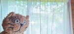 ゴゥヤカ〜テン、よぅやく完成💥(•̀ㅁ•́ )