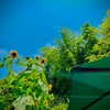 【454日目】20時の気温：23℃(涼)