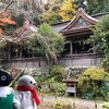 見てこの大パノラマ、吉野の町を一望だよ！吉野紅葉の旅その4(101)