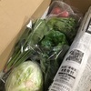 【ふるさと納税】2019年返礼品 福岡県うきは市 野菜セットS