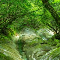 藤河内渓谷の撮影ガイド｜アクセス・撮影ポイント・装備まとめ