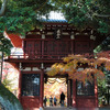 本土寺の紅葉
