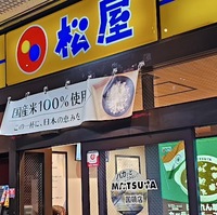 【本日より】松屋のチキンほうれん草とカッテージチーズのカレーをいただきました【期間限定】
