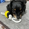 ぐちぐち💦