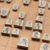 将棋（お金をかけない趣味の中でも一生できそうな部類）