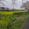 雨の国分川