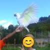 動物園のイベントをチェックして出かけよう！～6月15日はオウムインコデーです～