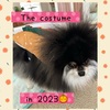 愛犬たちのハロウィンコスチューム2023